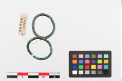 Foto von Bronzering (NHMW-PRAE-024809)